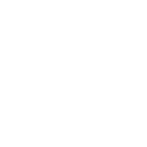 Consultation icon
